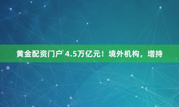黄金配资门户 4.5万亿元！境外机构，增持