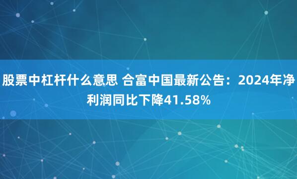 股票中杠杆什么意思 合富中国最新公告：2024年净利润同比下降41.58%