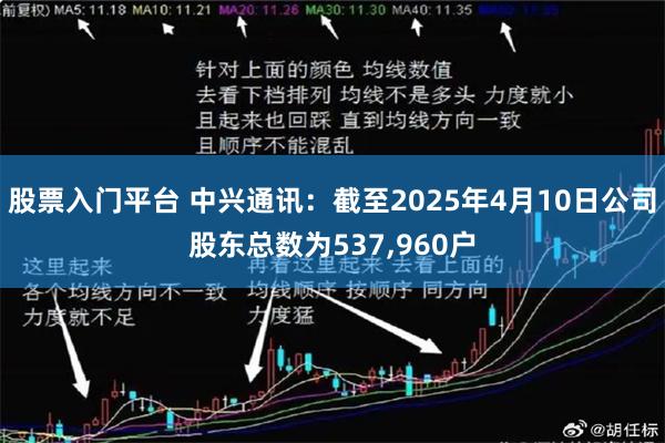 股票入门平台 中兴通讯：截至2025年4月10日公司股东总数为537,960户