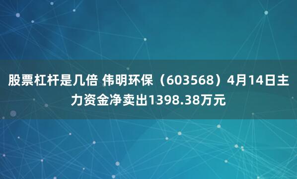 股票杠杆是几倍 伟明环保（603568）4月14日主力资金净卖出1398.38万元