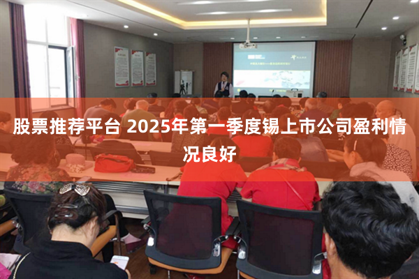 股票推荐平台 2025年第一季度锡上市公司盈利情况良好