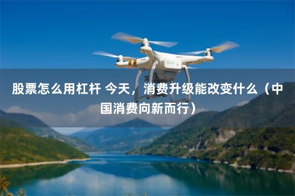 股票怎么用杠杆 今天，消费升级能改变什么（中国消费向新而行）