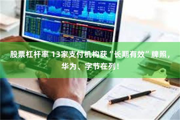 股票杠杆率 13家支付机构获“长期有效”牌照，华为、字节在列！