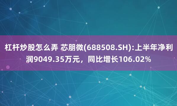 杠杆炒股怎么弄 芯朋微(688508.SH):上半年净利润9049.35万元，同比增长106.02%