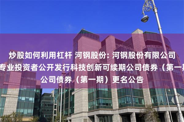 炒股如何利用杠杆 河钢股份: 河钢股份有限公司2025年面向专业投资者公开发行科技创新可续期公司债券（第一期）更名公告