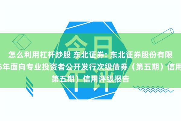 怎么利用杠杆炒股 东北证券: 东北证券股份有限公司2025年面向专业投资者公开发行次级债券（第五期）信用评级报告